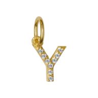Pendant 1547 in Gold plated silver letter Y