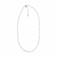 Necklace 1881 in Silver with White freshwater pearl