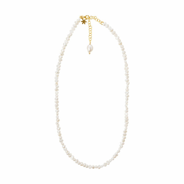 Jewellery gold plated silver necklace, style number: 1881-2-900