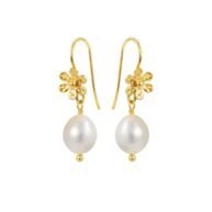 Earrings 3780 in Gold plated silver with White freshwater pearl