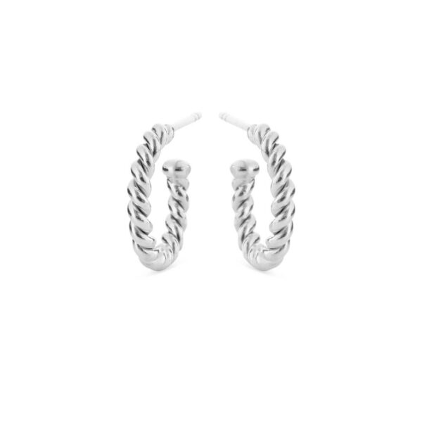 Jewellery silver earring, style number: 4058-1