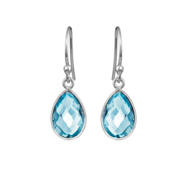 Jewellery silver earring, style number: 4068-1-186
