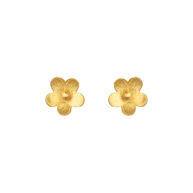 Earrings 5158 in Gold plated silver 5 mm