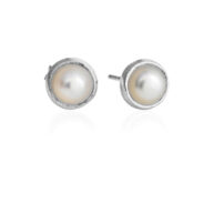 Earrings 5199 in Silver