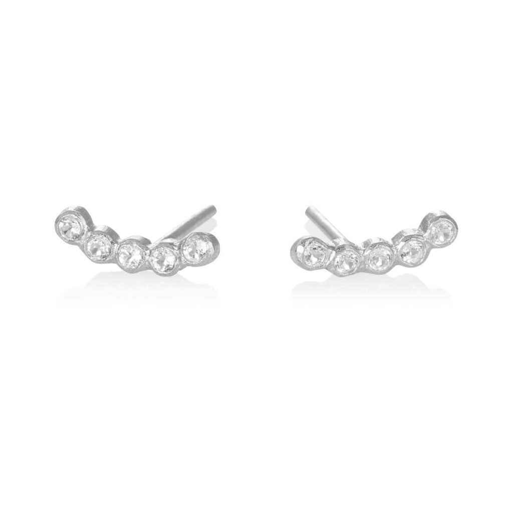 Jewellery silver earring, style number: 5348-1