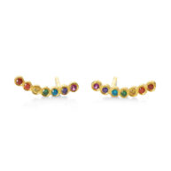 Earrings 5511 in Gold plated silver
