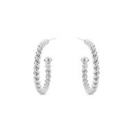 Earrings 5538 in Silver