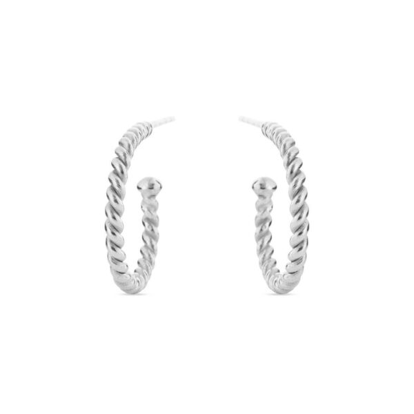 Jewellery silver earring, style number: 5538-1