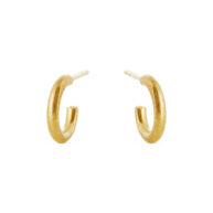 Earrings 5558 in Gold plated silver