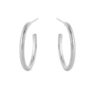Earrings 5559 in Silver
