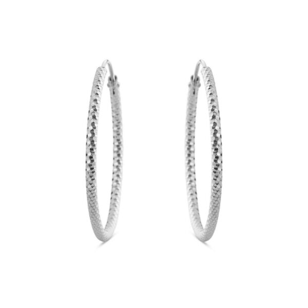 Jewellery silver earring, style number: 5565-1