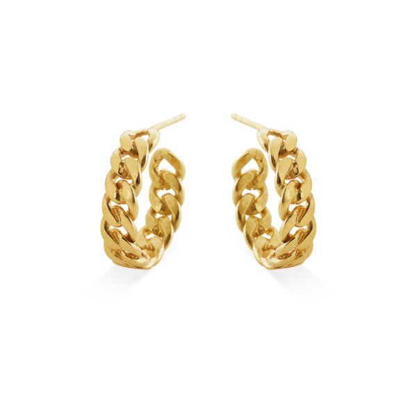 Jewellery polished gold plated silver earring, style number: 5583-21