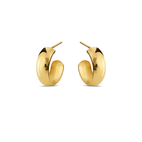 Jewellery polished gold plated silver earring, style number: 5584-21