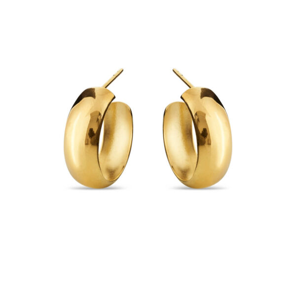 Jewellery polished gold plated silver earring, style number: 5585-21