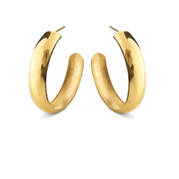 Jewellery polished gold plated silver earring, style number: 5586-21