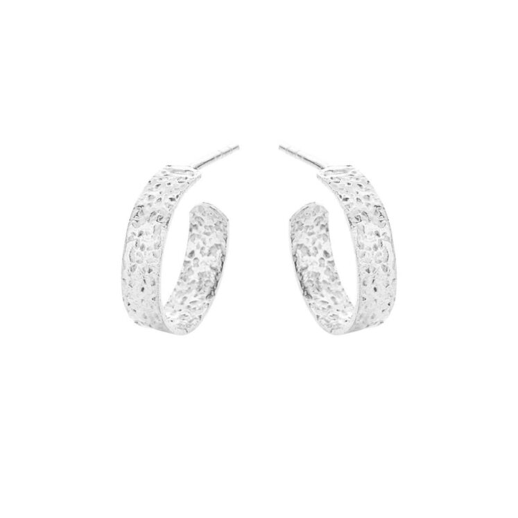 Jewellery silver earring, style number: 5623-1