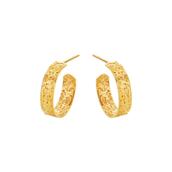 Jewellery gold plated silver earring, style number: 5623-2