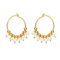 Earrings 5635 in Gold plated silver with White freshwater pearl