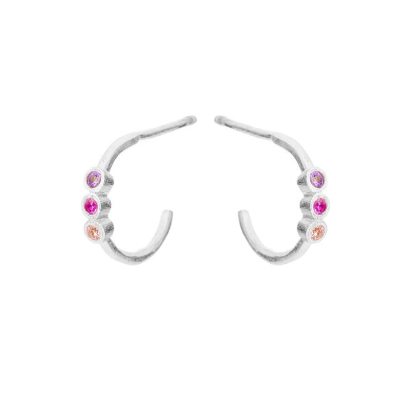 Jewellery silver earring, style number: 5647-1-569