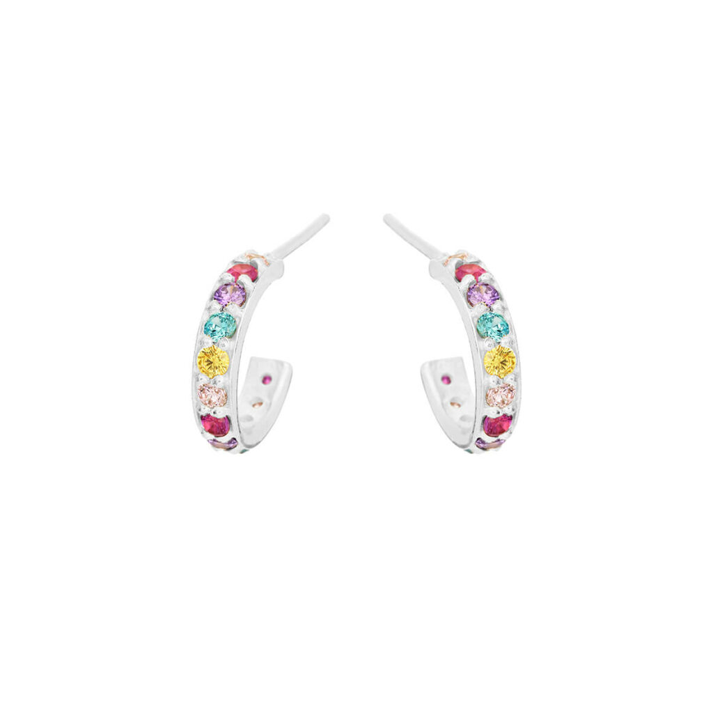 Jewellery silver earring, style number: 5648-1-571