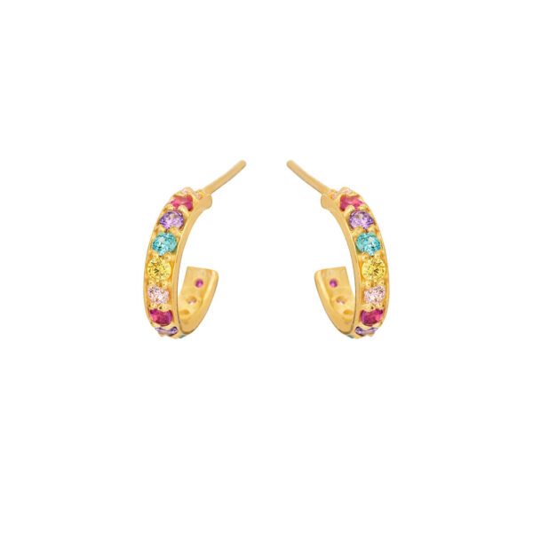 Jewellery gold plated silver earring, style number: 5648-2-571