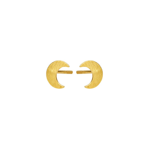 Jewellery gold plated silver earring, style number: 5649-2
