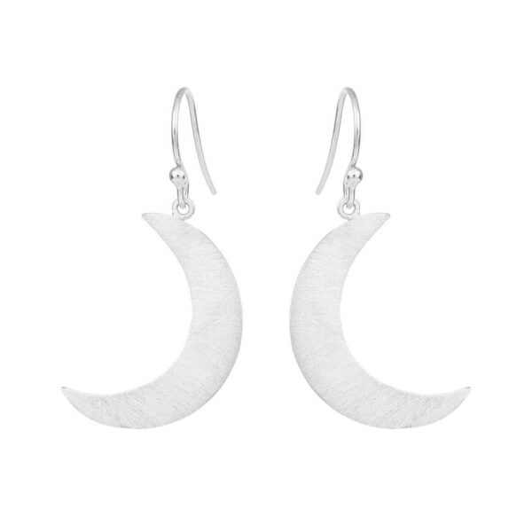 Jewellery silver earring, style number: 5654-1-999