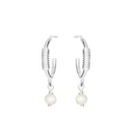 Earrings 5655 in Silver with White freshwater pearl
