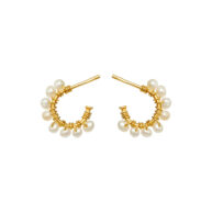 Earrings 5656 in Gold plated silver with White freshwater pearl