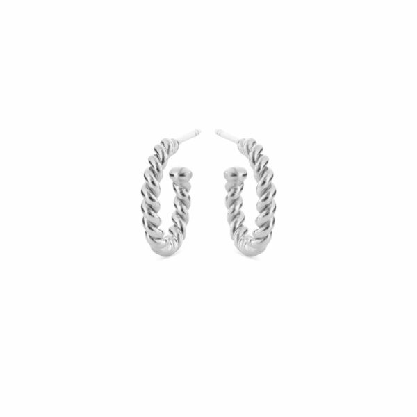 Jewellery silver earring, style number: 5659-1
