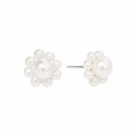 Earrings 5662 in Silver with White freshwater pearl 10 mm
