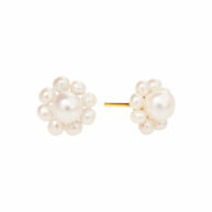 Earrings 5662 in Gold plated silver with White freshwater pearl 10 mm