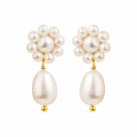 Earrings 5666 in Gold plated silver with White freshwater pearl