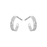 Earrings 5671 in Silver