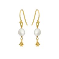 Earrings 5692 in Gold plated silver with White freshwater pearl